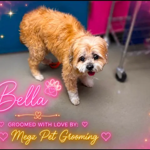 Bella after her groom