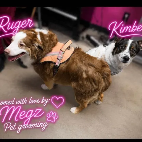 Kimber and Ruger after their groom